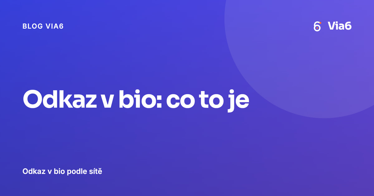 Odkaz v bio: co to je