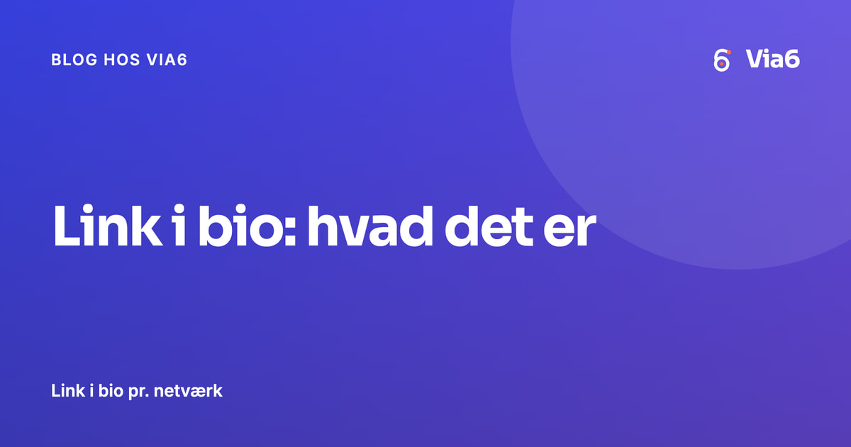 Link i bio: hvad det er